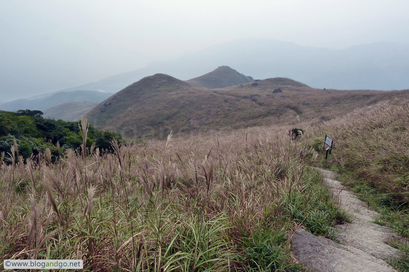 Lantau Trail - On the way down